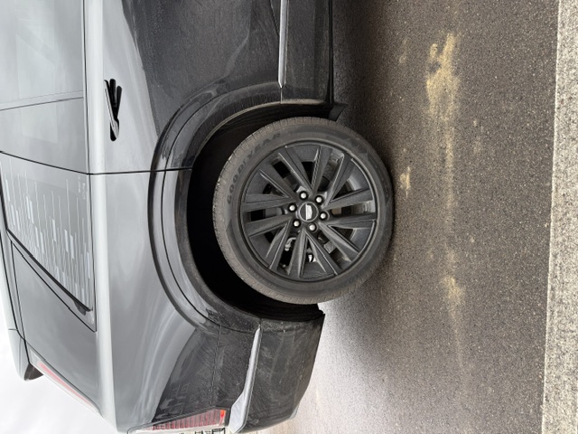 Dirty rear wheel and quarter panel before detailing